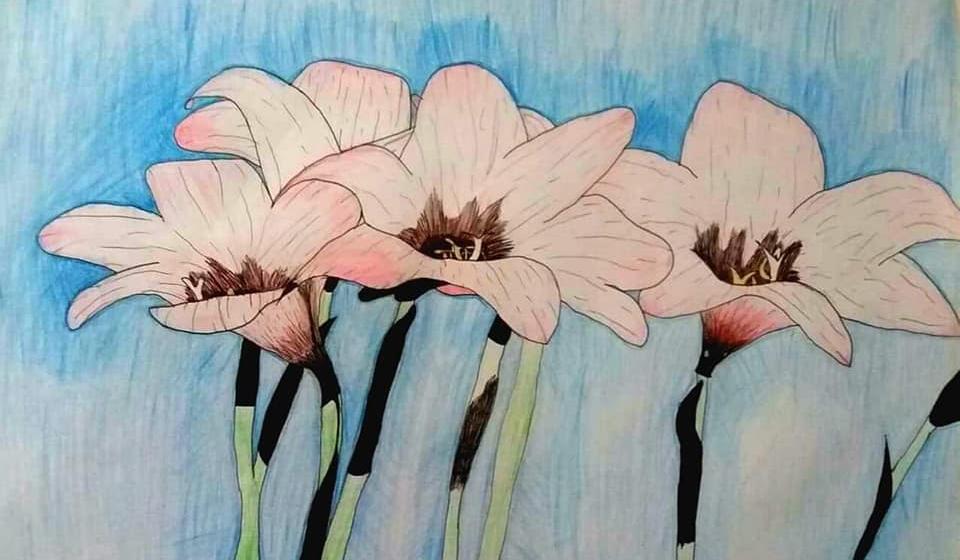 Beg od obaveza u svet mašte. Foto NU (klik na sliku za uvećanje)