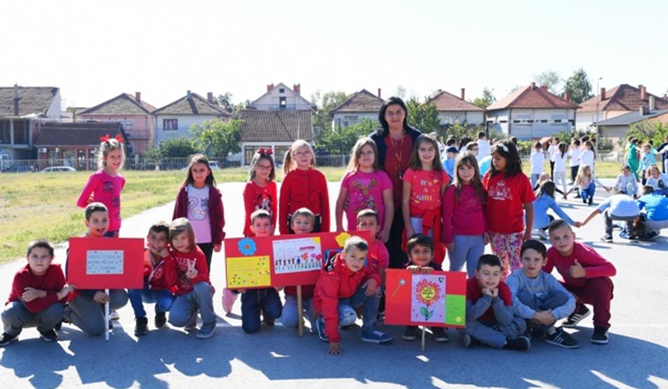 Foto OŠ Radoje Domanović