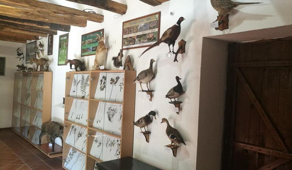 Foto Eparhija vranjska