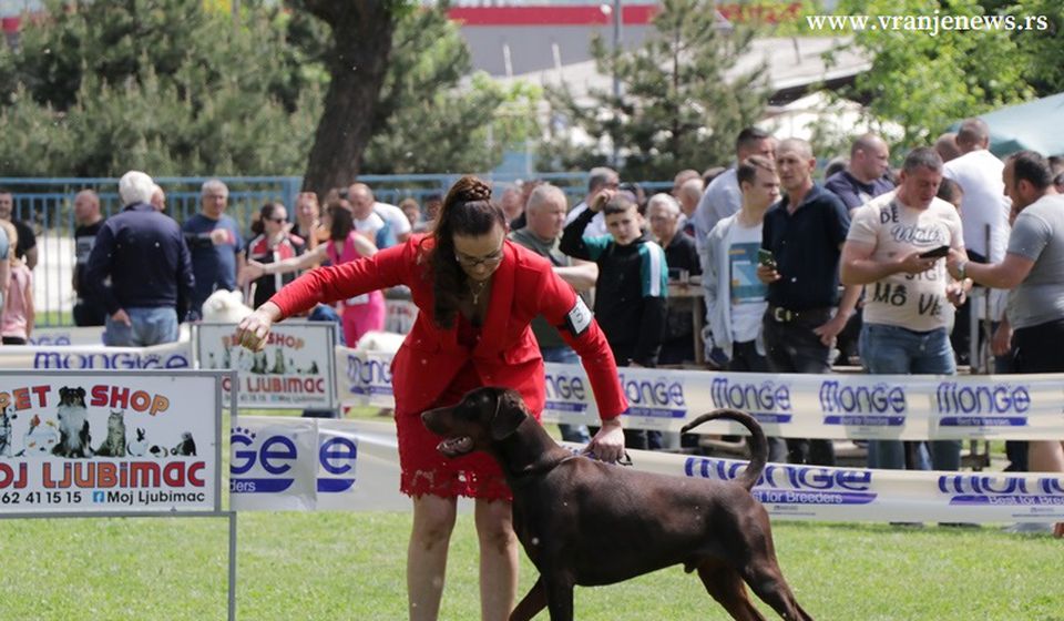 Foto Vranje News