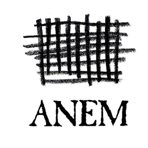 Foto logo ANEM