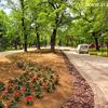 Ovako sada izgleda Gradski park u Vranju. Foto Vranje News