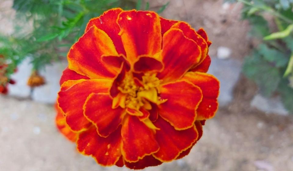 Foto ilustracija Vranje news