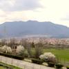 Foto Vranje news