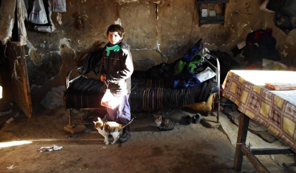 Druga nagrada: fotografija Novice Cvetkovića. Foto arhiva autora