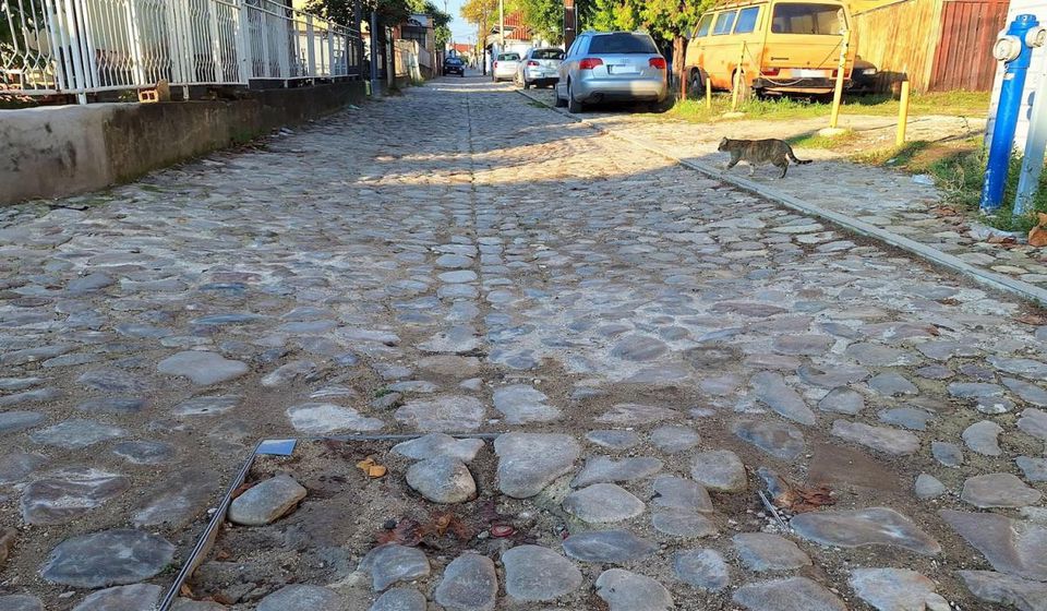 Foto Vranje news