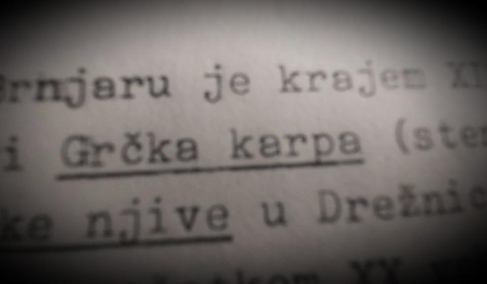 Foto Vranje News (Zlatanovićev rukopis)