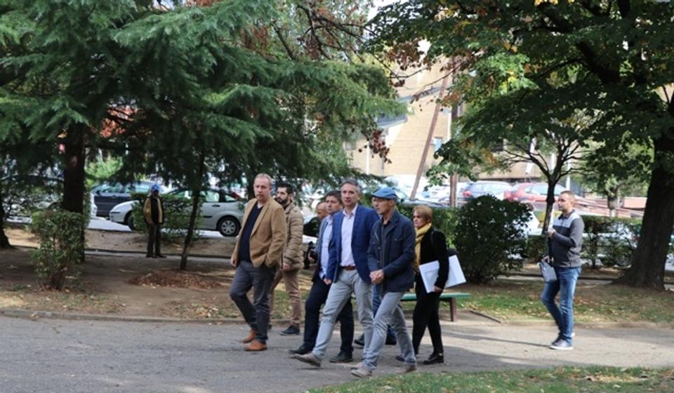 Drvoredi i drveće ostaju. Foto VranjeNews