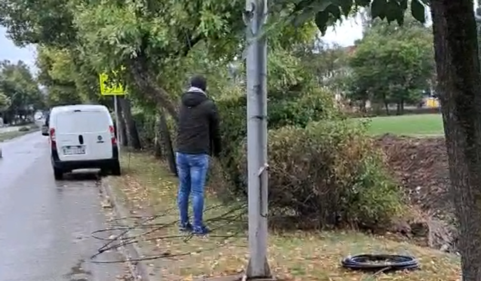 Radnik iz javnog sektora skuplja posečene kablove Jotela. Foto K.J.