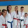 Foto Feniks