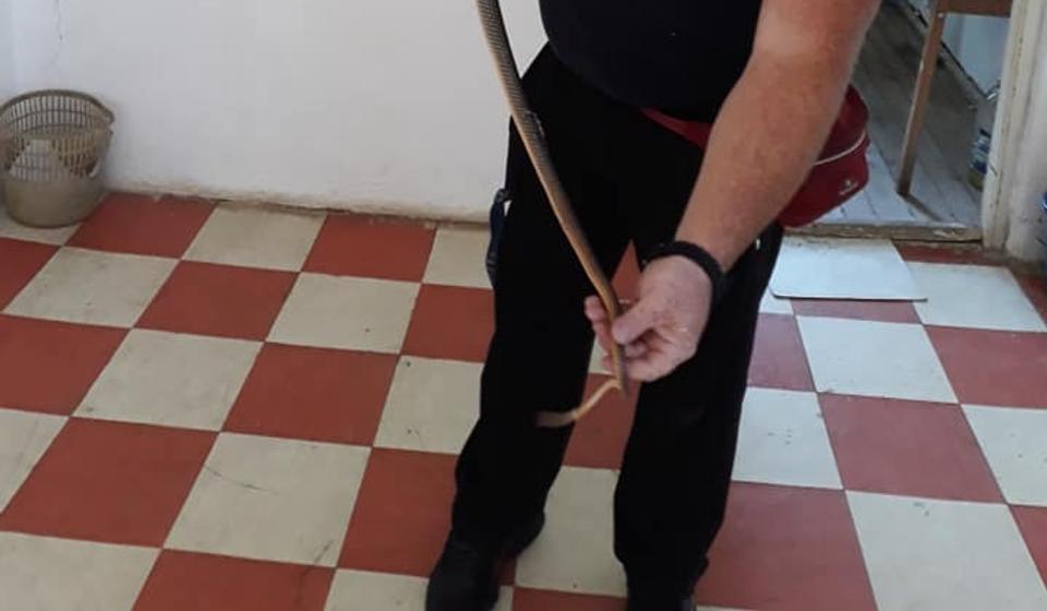 Vladica je kao i uvek rešio problem. Foto privatna arhiva