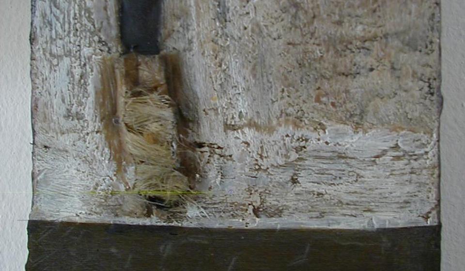 Foto Vranje news (klik na fotografiju za puni prikaz)