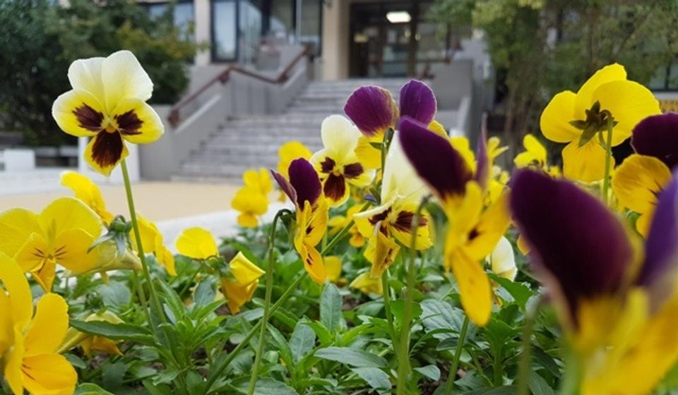 Foto ilustracija Vranje news