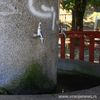 Česma u Vranjskoj Banji. Foto Vranje News
