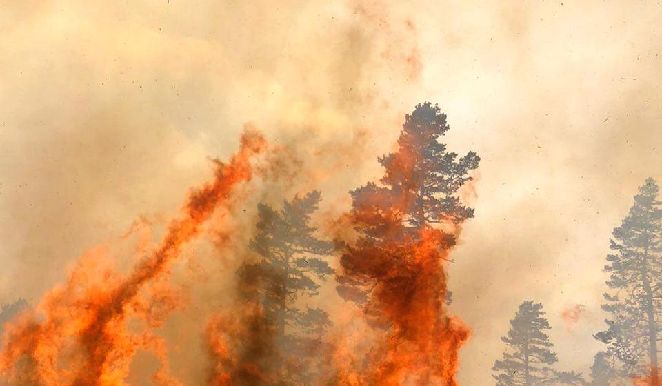 Vulin smatra da je deo požara u Pčinjskom okrugu podmetnut. Foto MUP