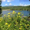 Vlasinsko jezero. Foto Vranje News