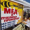 Foto Vranje News