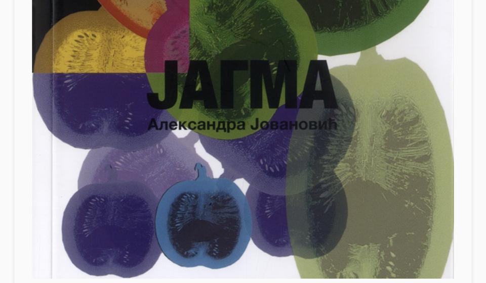 Foto Biblioteka Vladislav Petković Dis