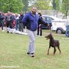 Sa prošlogodišnje izložbe. Foto ilustracija Vranje News
