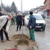 Foto Grad Vranje