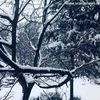 Foto Vranje News
