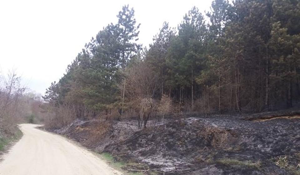 Okolina Vrtogoša. Foto privatna arhiva