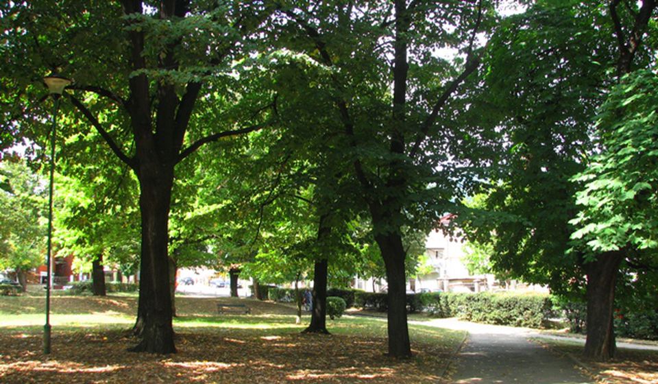 Gradski park u Vranju. Foto Vranje News
