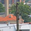 Foto ilustracija Vranje News