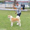Foto ilustracija Vranje News