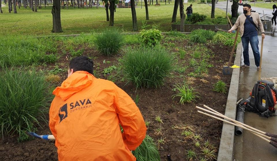 Foto Sava osiguranje