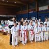 Bez premca na kupu u Leskovcu. Foto Feniks