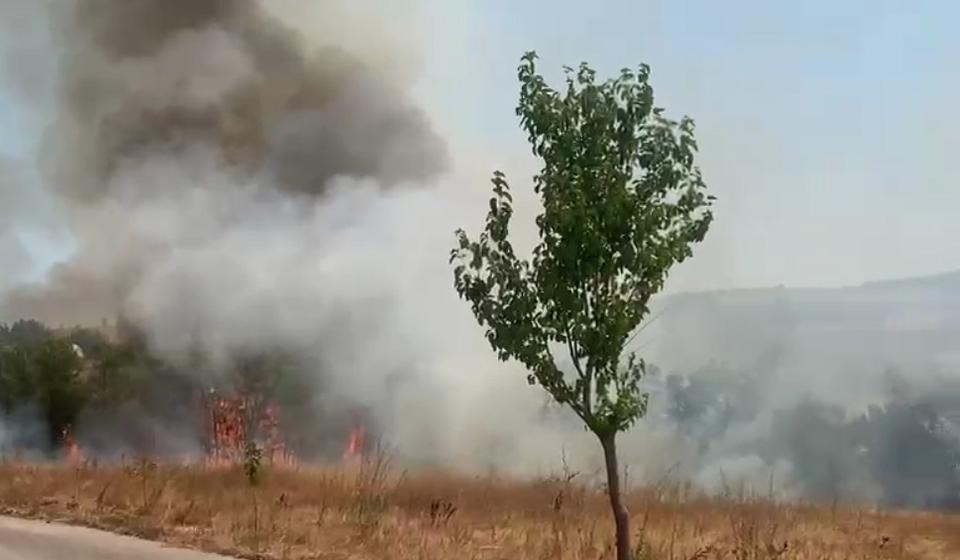 Požar u Samoljici. Foto izvor Bujanovačke