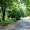 Foto Grad Vranje