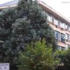 Viši sud u Vranju. Foto Vranje News