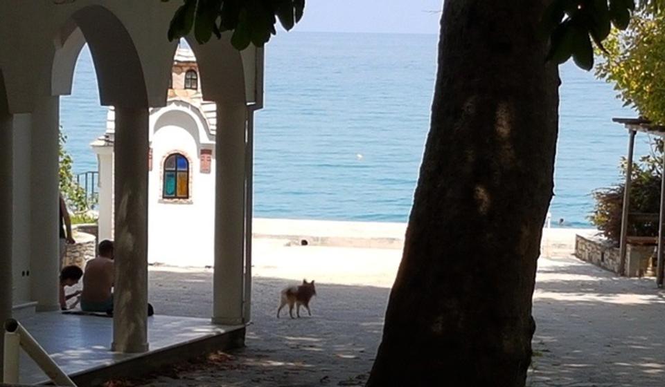 Srbi u Grčku trenutno mogu jedino preko prelaza Promahonas na granici te zemlje sa Bugarskom. Foto Vranje News
