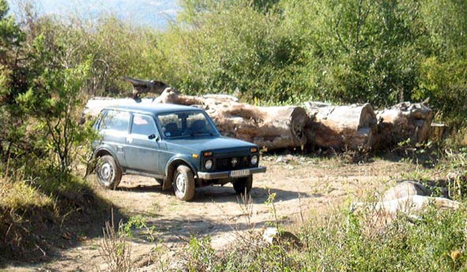 Foto Zelena mreža Pčinjskog okruga