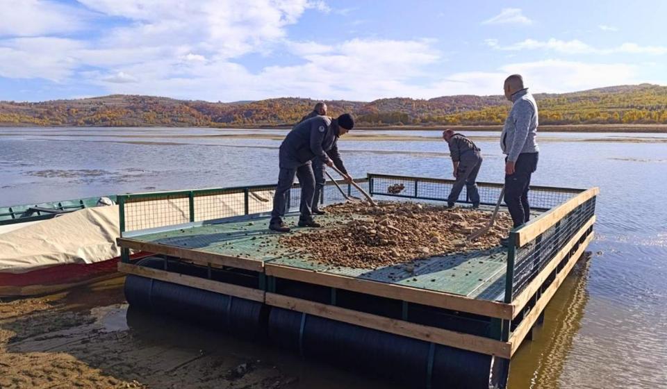 Foto Novica Stanković