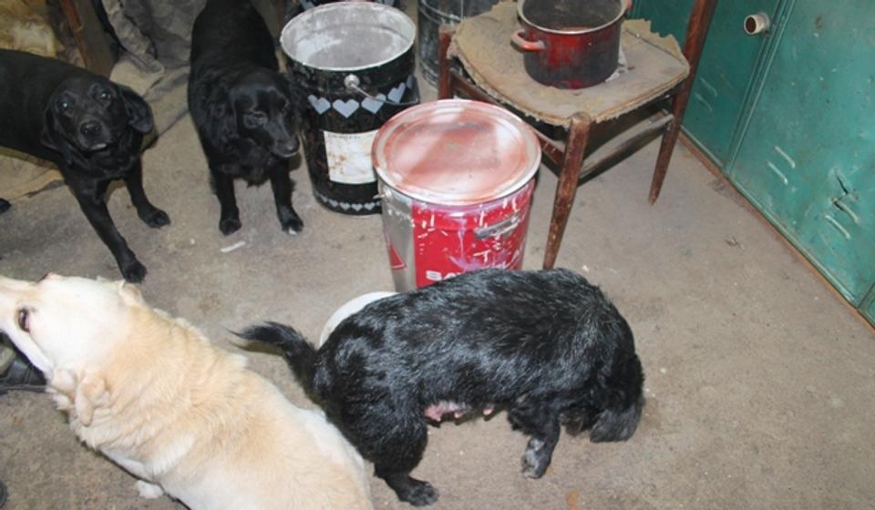 U dobrom društvu. Foto VranjeNews