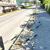 Foto Vranje news