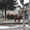 Foto VranjeNews
