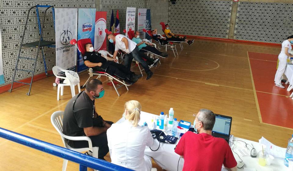 Detalj sa današnje akcije. Foto lična arhiva