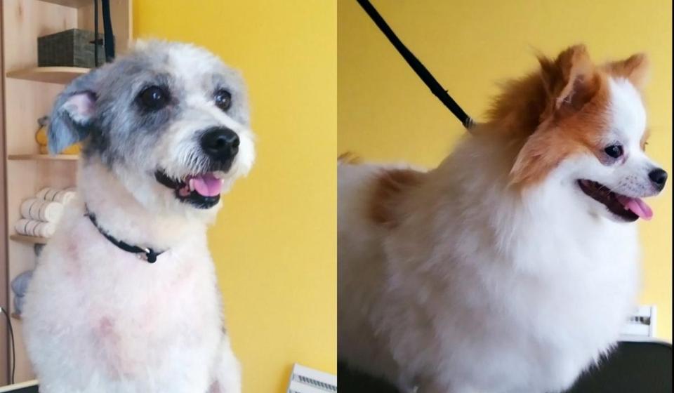 Foto promo El Chapo (klik na fotografiju za puni prikaz)