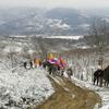 Foto vranje.org.rs