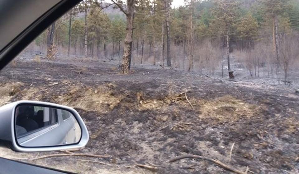 Slikano u utorak predveče: okolina Vrtogoša. Foto privatna arhiva