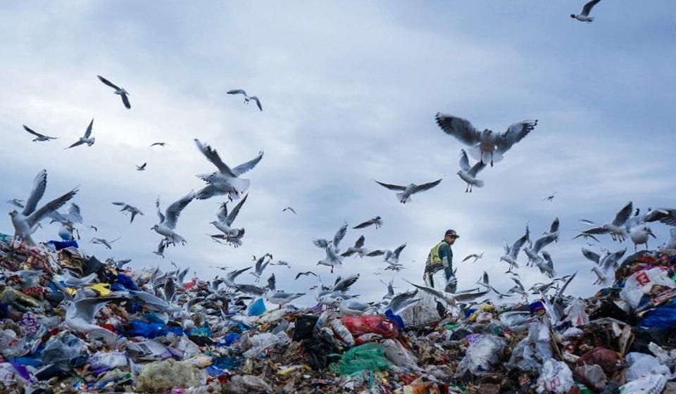 Pobednička fotografija. Foto Đurđina Tomić