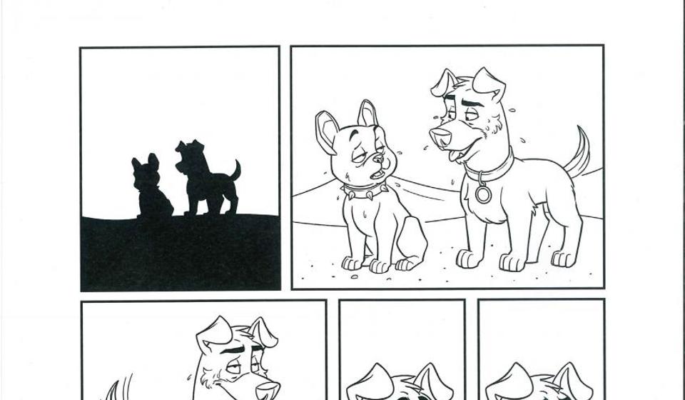 Foto M.D.M. (klik na zahvalnicu za puni prikaz)