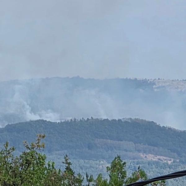 Požar kod Lukova. Foto Vranje news