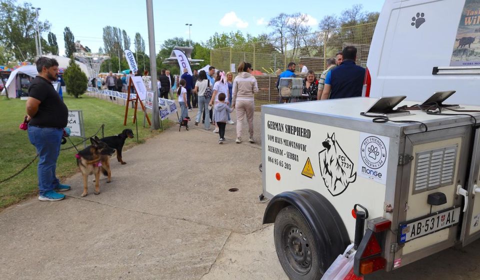 Foto Vranje news