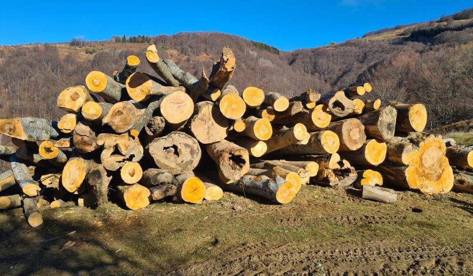 Foto lično vlasništvo