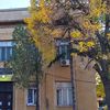 Foto Vranje News